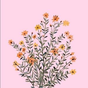 Meet your Posher, Riley